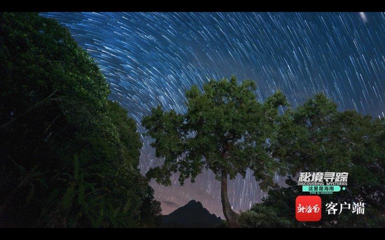 艾力斯特携手瓯江实验室
