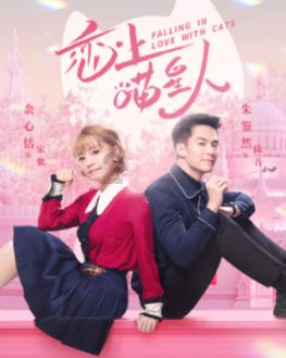 小辽喊你来辽过年｜乐活沈阳之三天两夜游